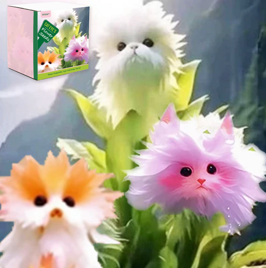GFOUK® Dazzle Flower Seeds🔥Grow Exquisite, Eye-Catching Flowers